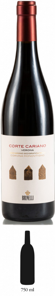 Corte Cariano - Brunelli - Corvina Veronese